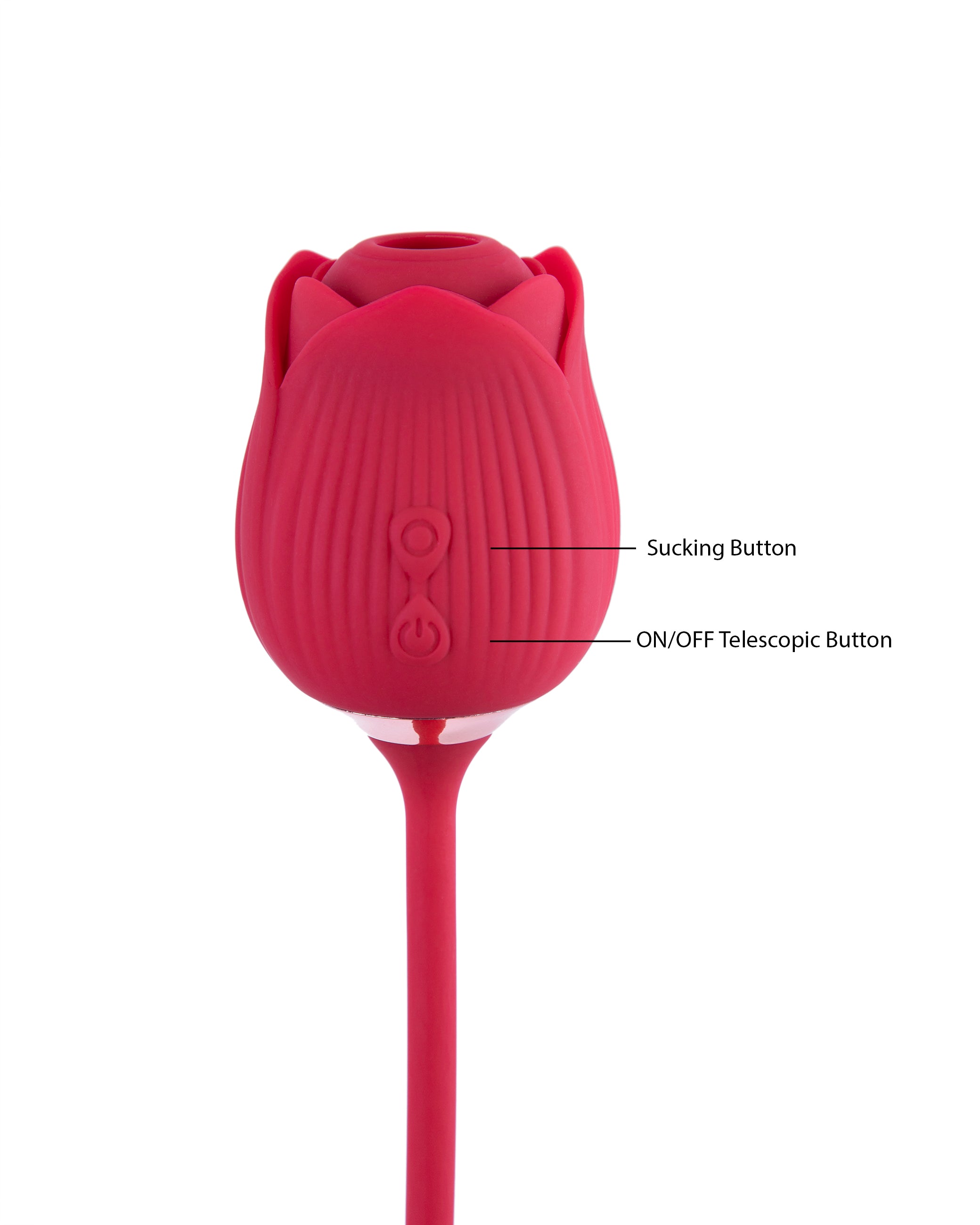 Rose Sucking Vibrator with Dildo