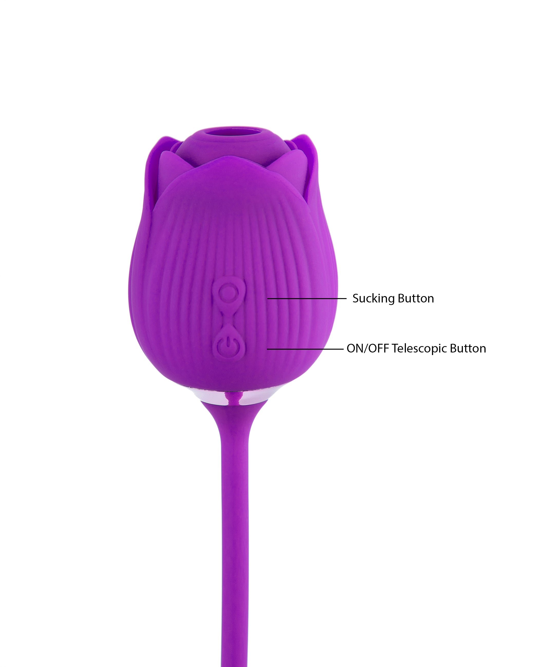 Rose Sucking Vibrator with Dildo