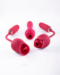 Load image into Gallery viewer, Ruby Rouge Sex Toy Kit
